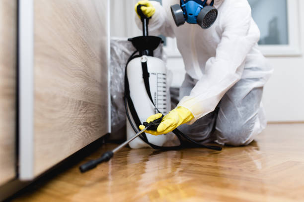 Best Exterminator Services  in Nichols Hills, OK