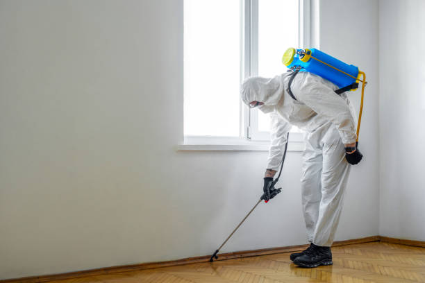 Best Rat Extermination Near Me  in Nichols Hills, OK