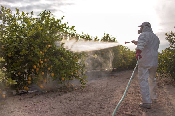 Pest Control Cost in Nichols Hills, OK