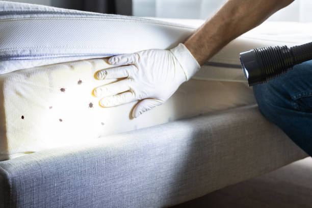 Best Mosquito Control Services  in Nichols Hills, OK