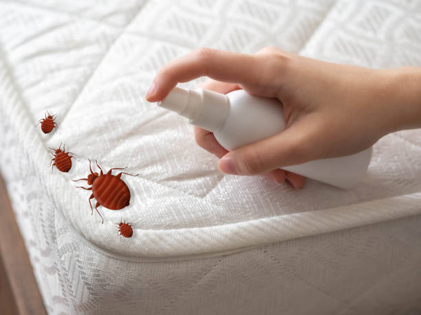 Best Flea Control Services  in Nichols Hills, OK