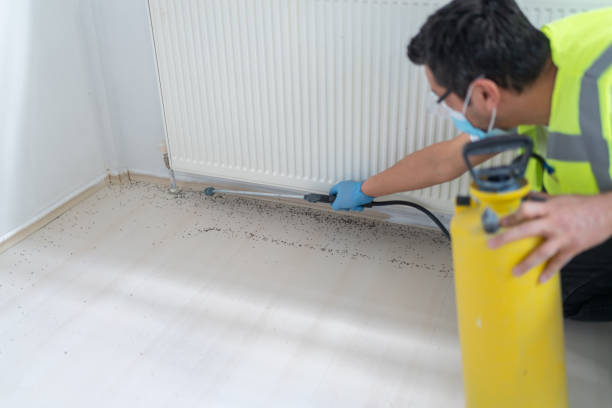 Best Best Pest Control Companies  in Nichols Hills, OK