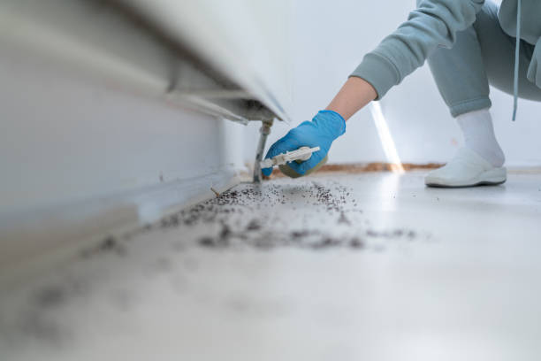 Best Emergency Pest Control  in Nichols Hills, OK